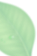 Traditional South Indian sweets decorative design element